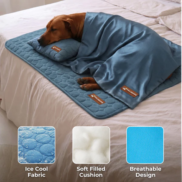 Ice-cool fabric, soft filled cushion and breathable design of the PawChill mat
